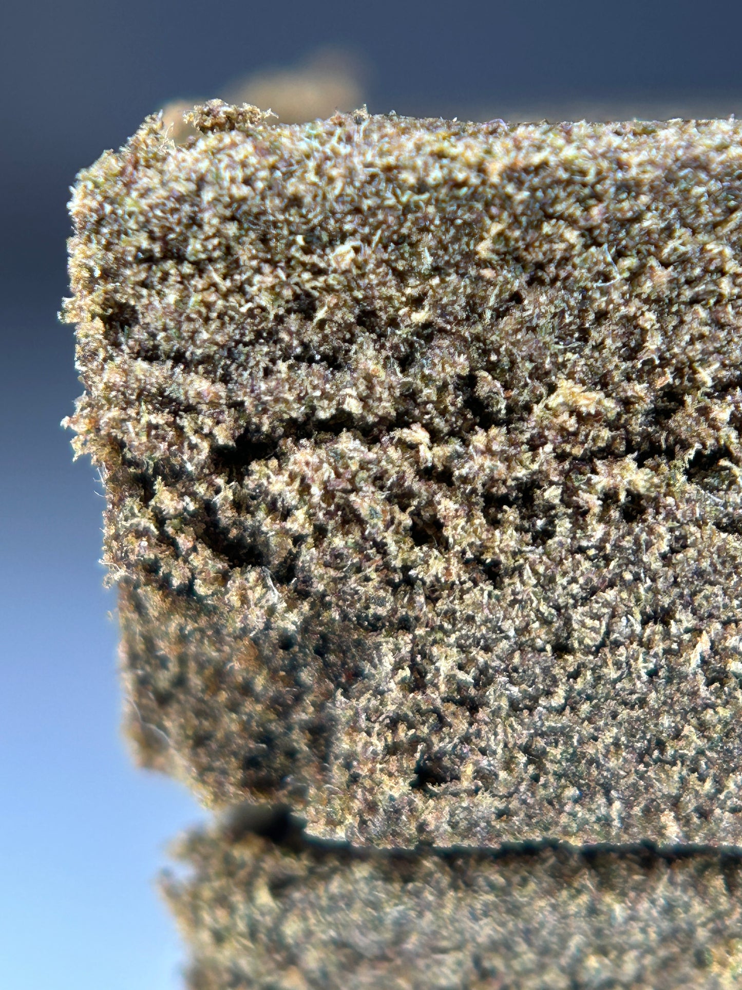 Drysift CBD Lemon Kush 160µ BZHash Maker X Alpine Cali 🇫🇷