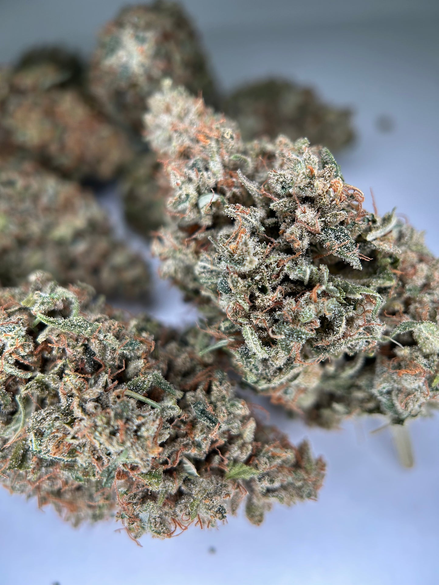 PINEAPPLE HAZE INDOOR Happy Pousse 🇫🇷
