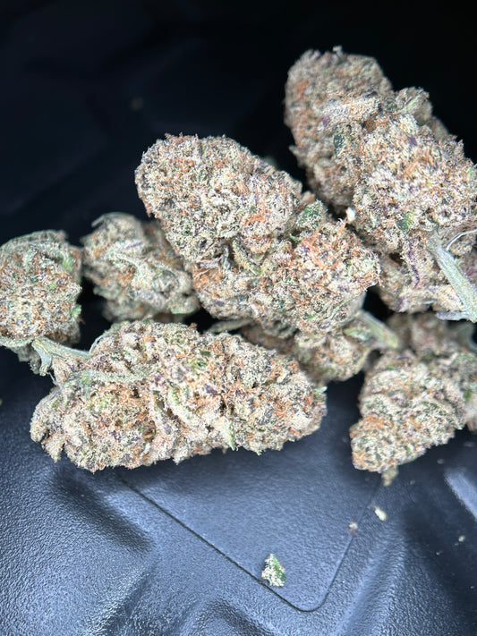 DARK SAPHIR INDOOR