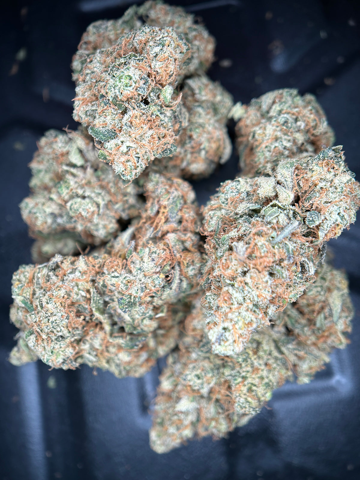LEMON GRÂCE INDOOR