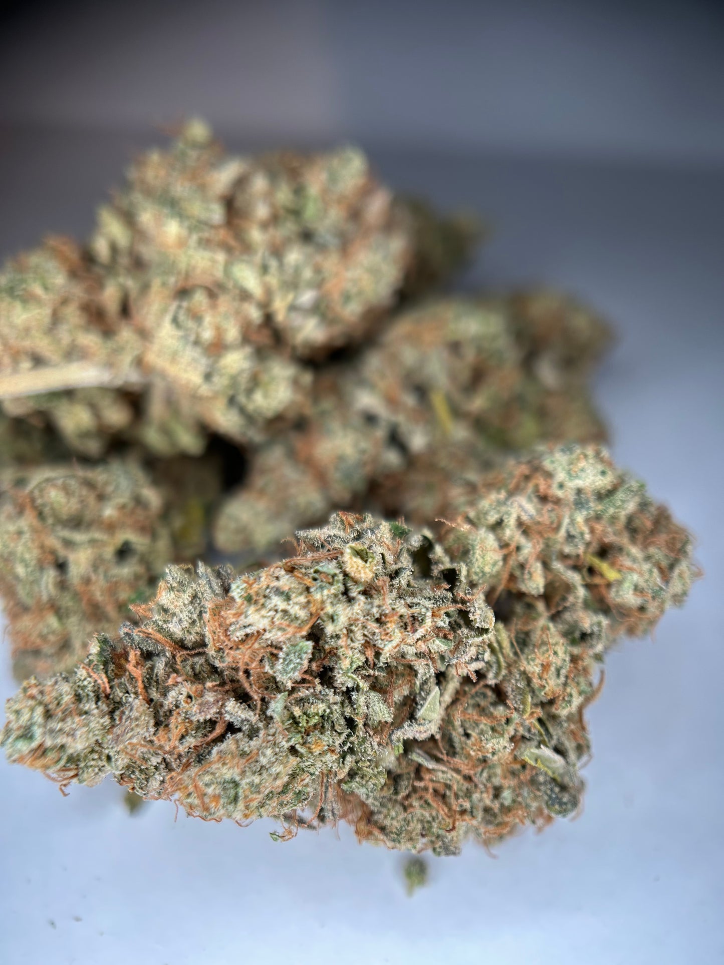 LEMON GRÂCE INDOOR ORGANIQUE Happy Pousse 🇫🇷