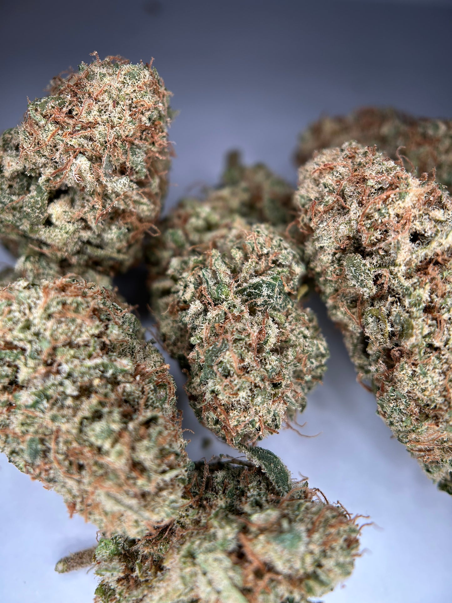 SWEET PARADIS INDOOR ORGANIQUE Happy Pousse 🇫🇷