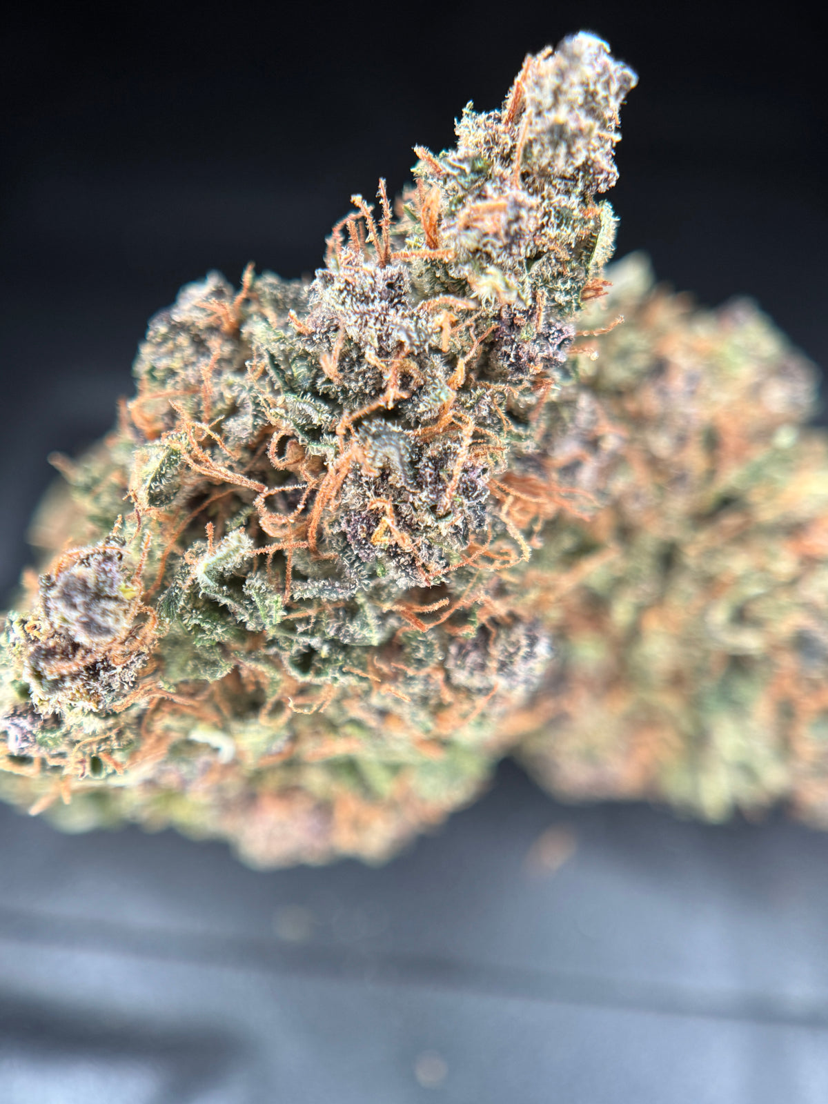 FORBIDDEN FRUIT