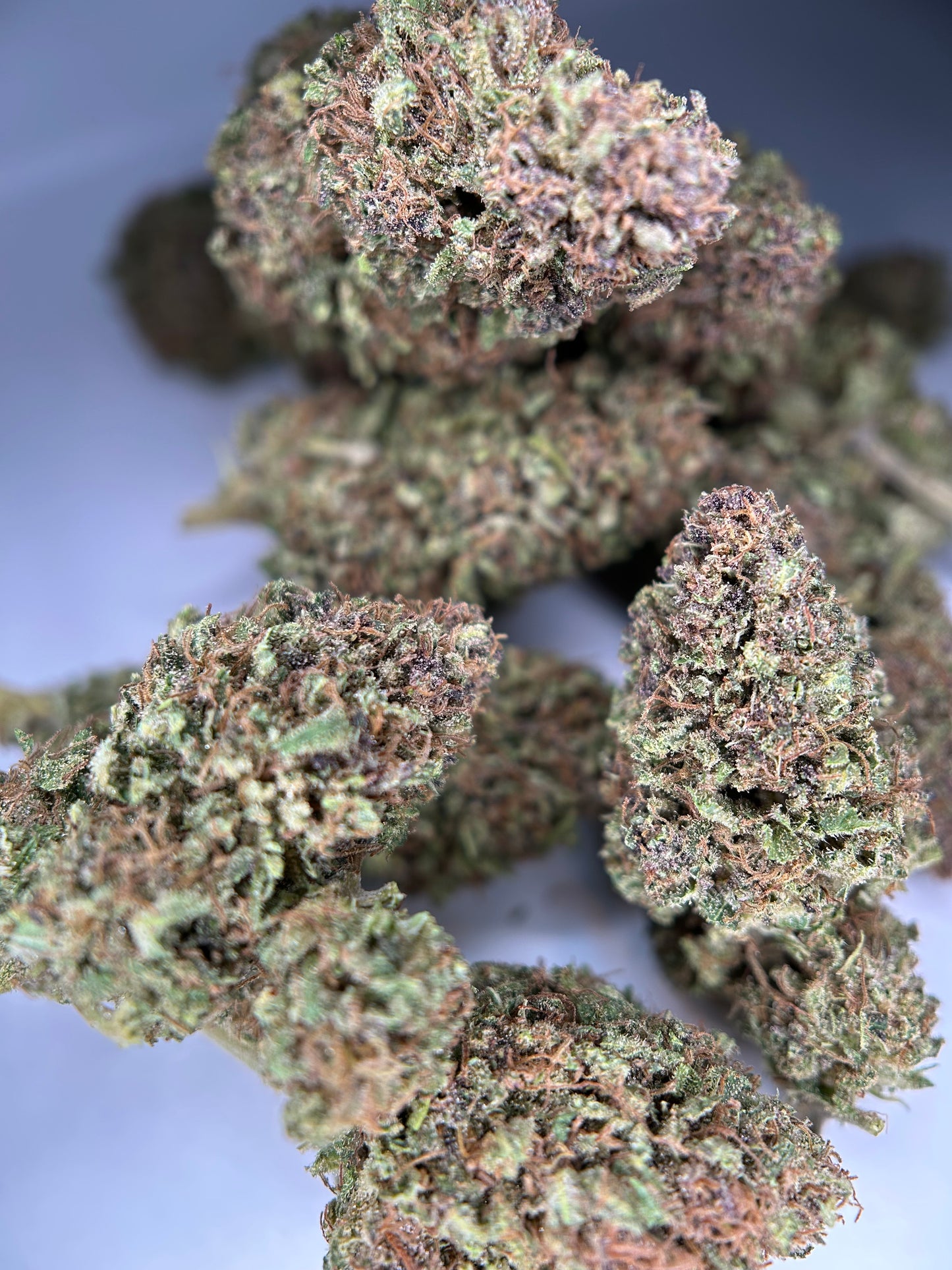 STRAWBERRY DAUGHUNTS OUTDOOR LIVING SOIL La tête à l’ouest 🇫🇷