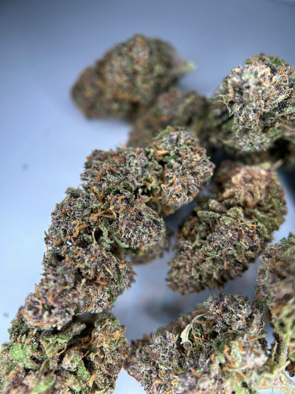 RAINBOW SHERBET Outdoor living soil La tête à l’ouest 🇫🇷