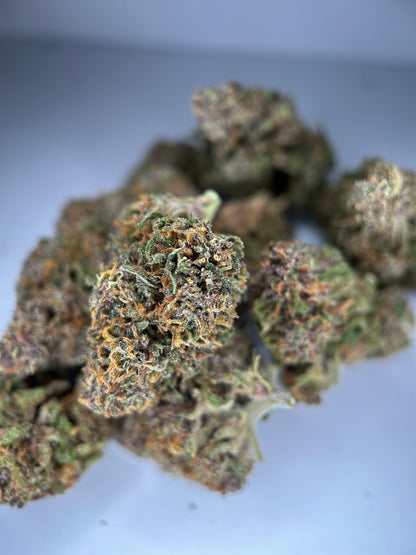 RAINBOW SHERBET Outdoor living soil La tête à l’ouest 🇫🇷