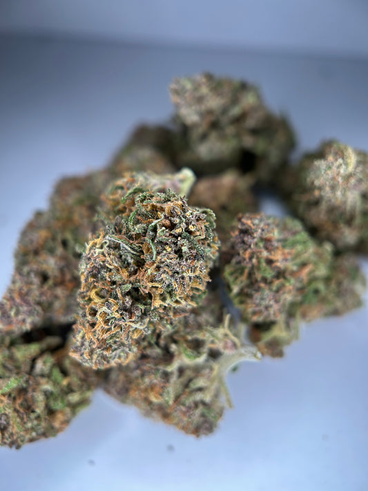 RAINBOW SHERBET Outdoor living soil La tête à l’ouest 🇫🇷