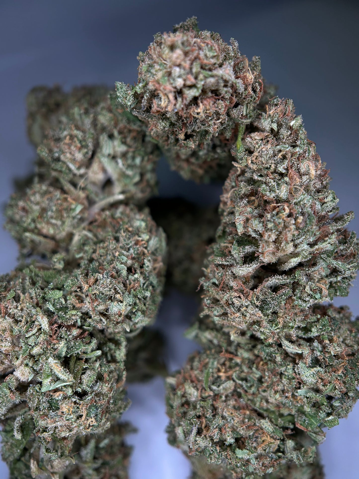 GOD FATHER OG OUTDOOR LIVING SOIL La tête à l’ouest 🇫🇷