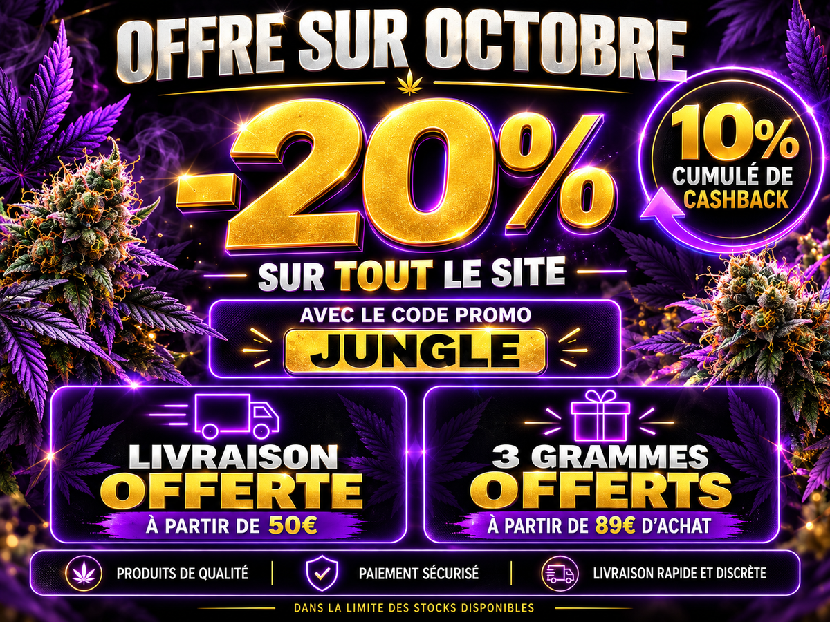 Bannière