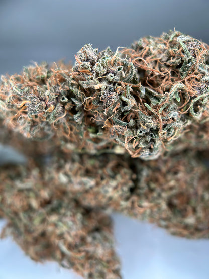 OCARINA OF GAZ INDOOR LIVING SOIL La Dame de Caro🇫🇷