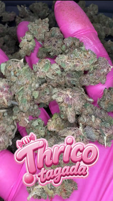 Baby bud Thrico Tagada