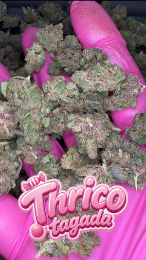 Baby bud Thrico Tagada