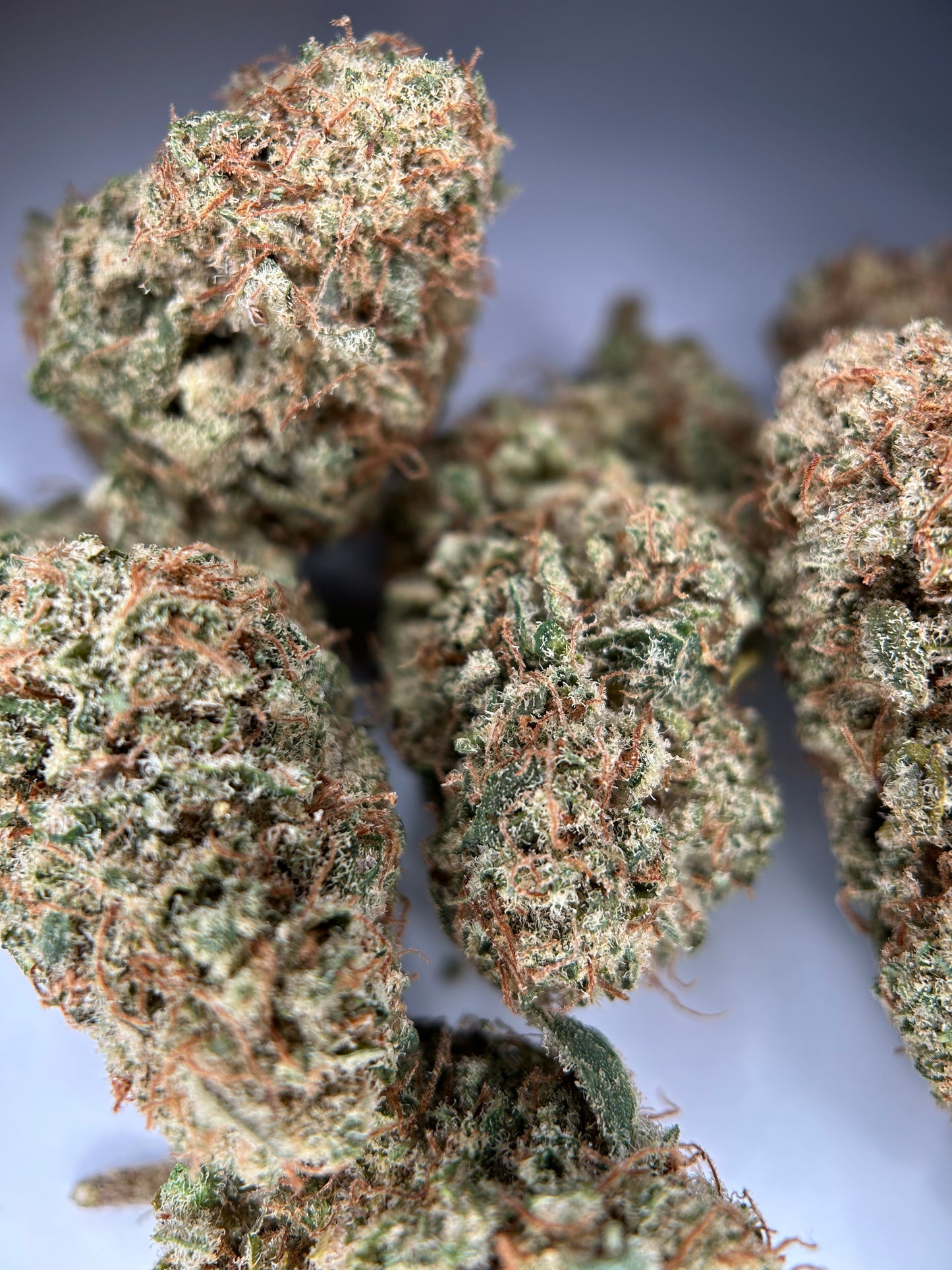 SWEET PARADIS INDOOR ORGANIQUE Happy Pousse 🇫🇷