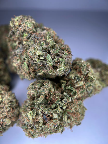 ZOMBIE FLOW Outdoor living soil La tête à l’ouest 🇫🇷