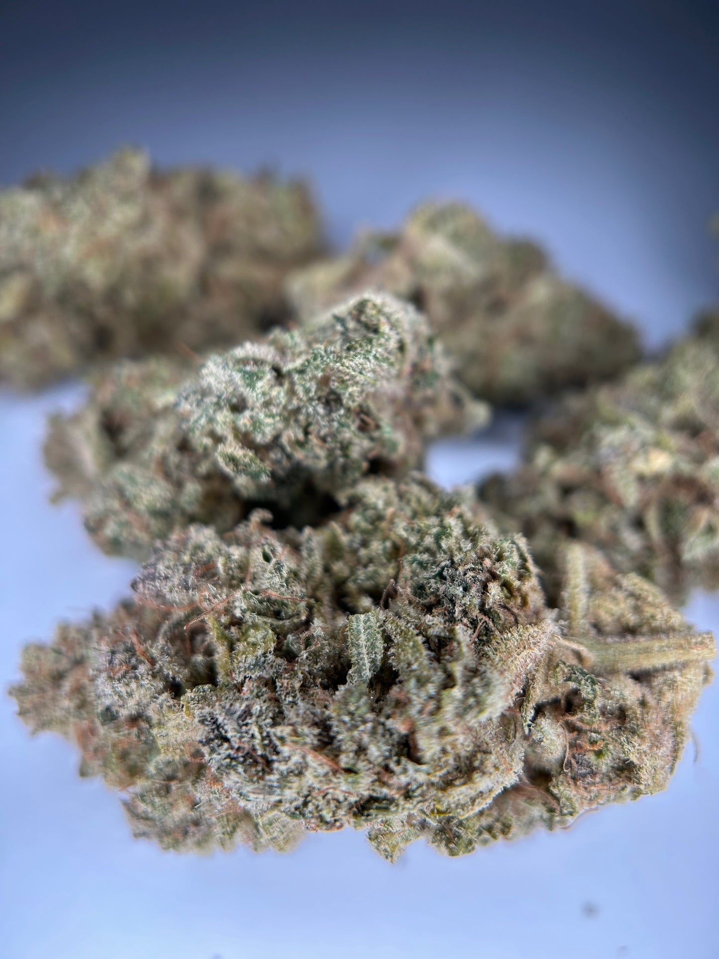 ZENYTHIS INDOOR Organique CBDank 🇫🇷