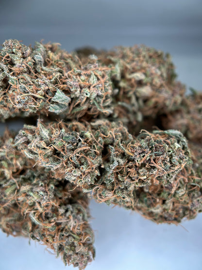 OCARINA OF GAZ INDOOR LIVING SOIL La Dame de Caro🇫🇷