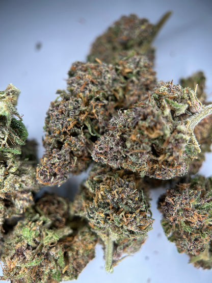 RAINBOW SHERBET Outdoor living soil La tête à l’ouest 🇫🇷