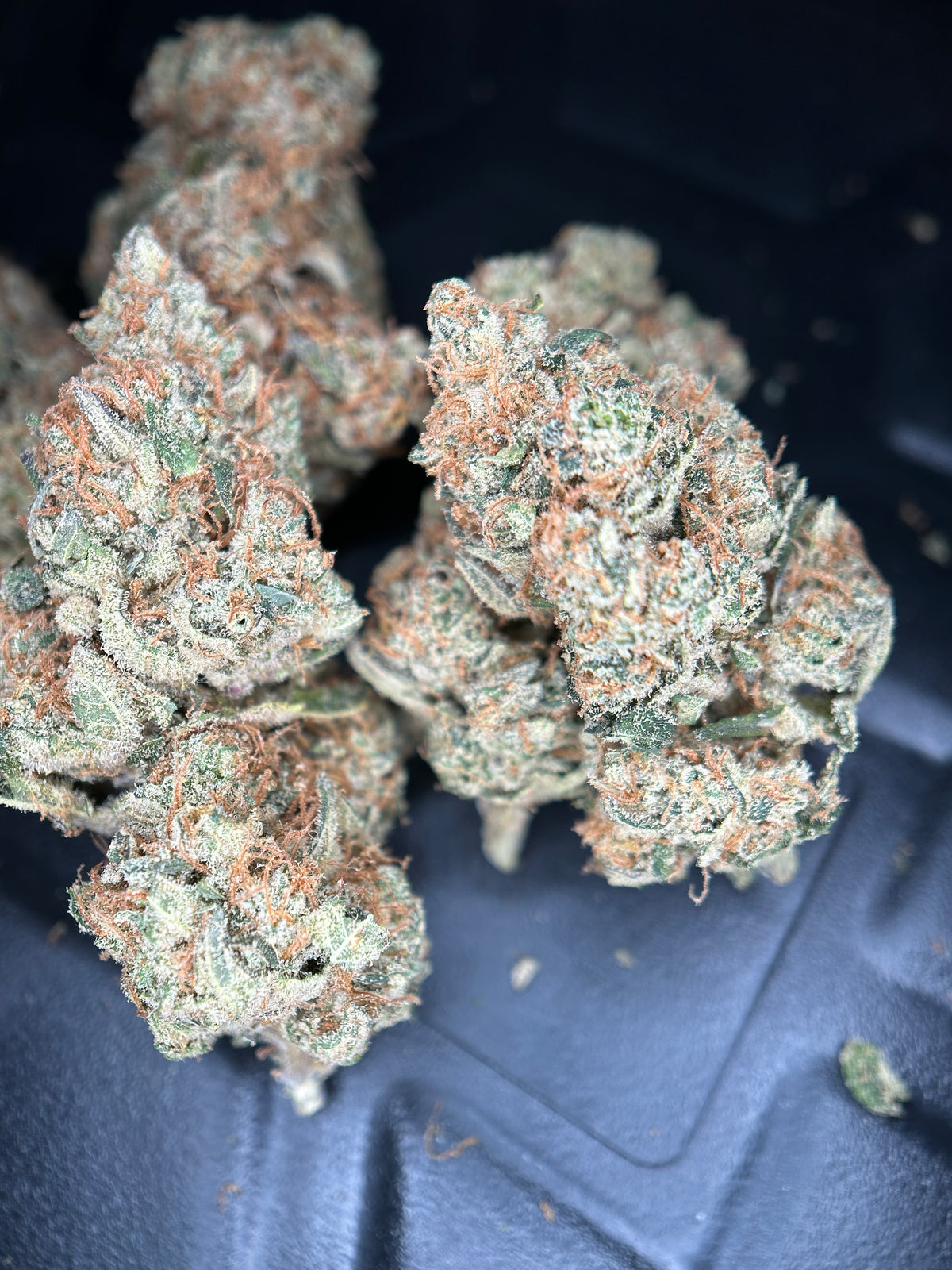 LEMON GRÂCE 🥇