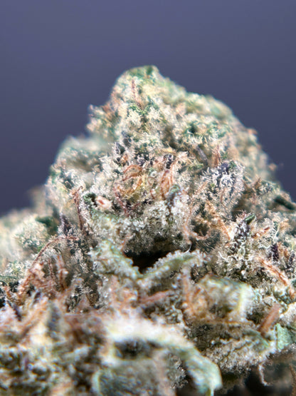 DARK SAPHIR GREENHOUSE         Happy pousse 🇫🇷