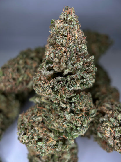 GOD FATHER OG OUTDOOR LIVING SOIL La tête à l’ouest 🇫🇷