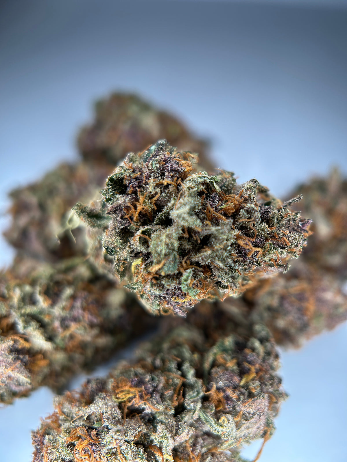 BLUEDORY
