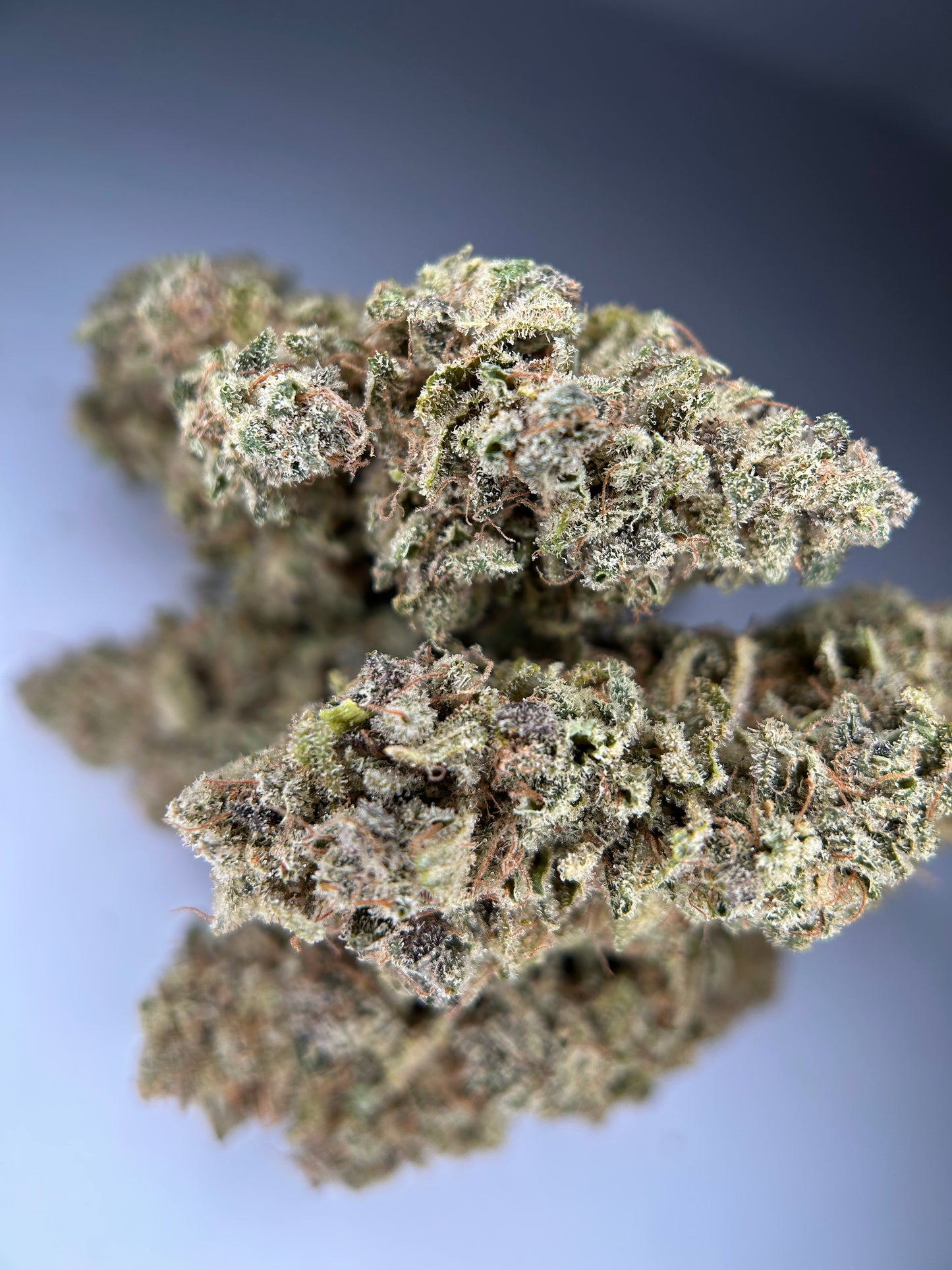 ZENYTHIS INDOOR Organique CBDank 🇫🇷