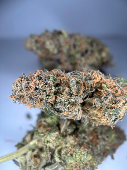 Relish pomme INDOOR organique originale Growing 🇫🇷