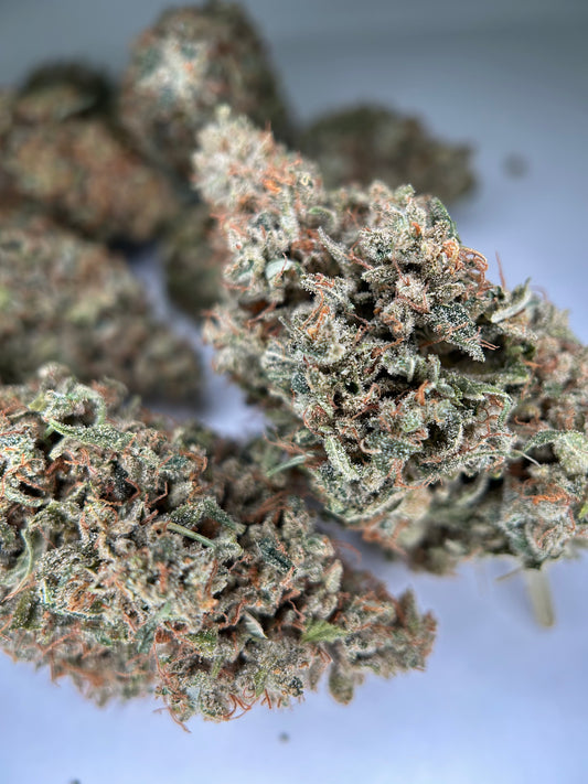 PINEAPPLE HAZE INDOOR Happy Pousse 🇫🇷