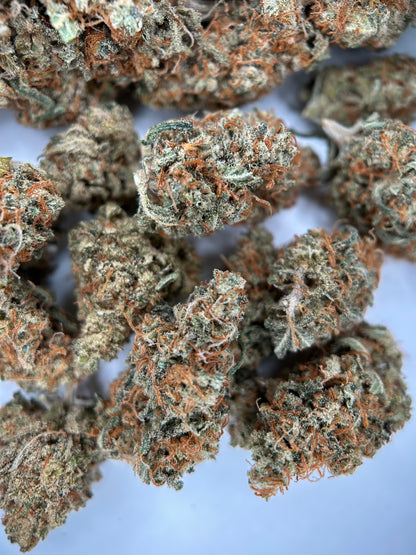 FRUIT DU DÉMON INDOOR LIVING SOIL La Dame de Caro 🇫🇷