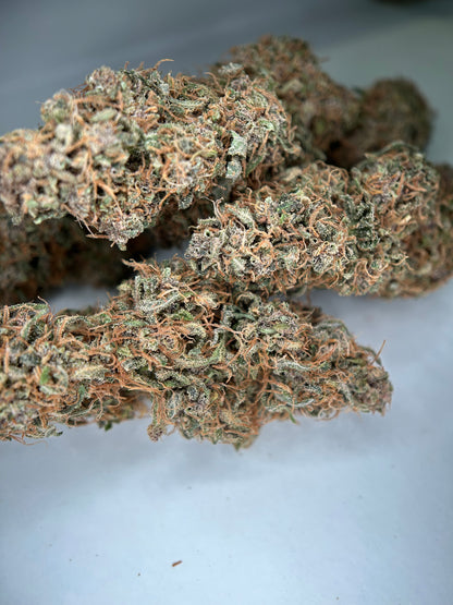 OCARINA OF GAZ INDOOR LIVING SOIL La Dame de Caro🇫🇷