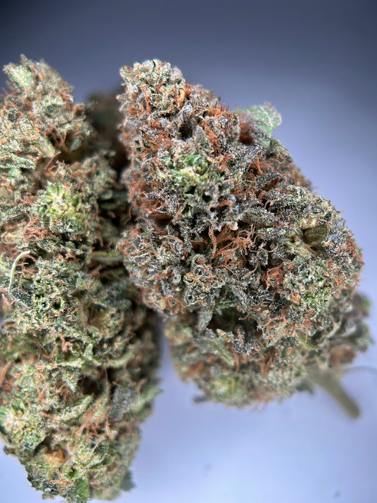 Relish pomme INDOOR organique originale Growing 🇫🇷