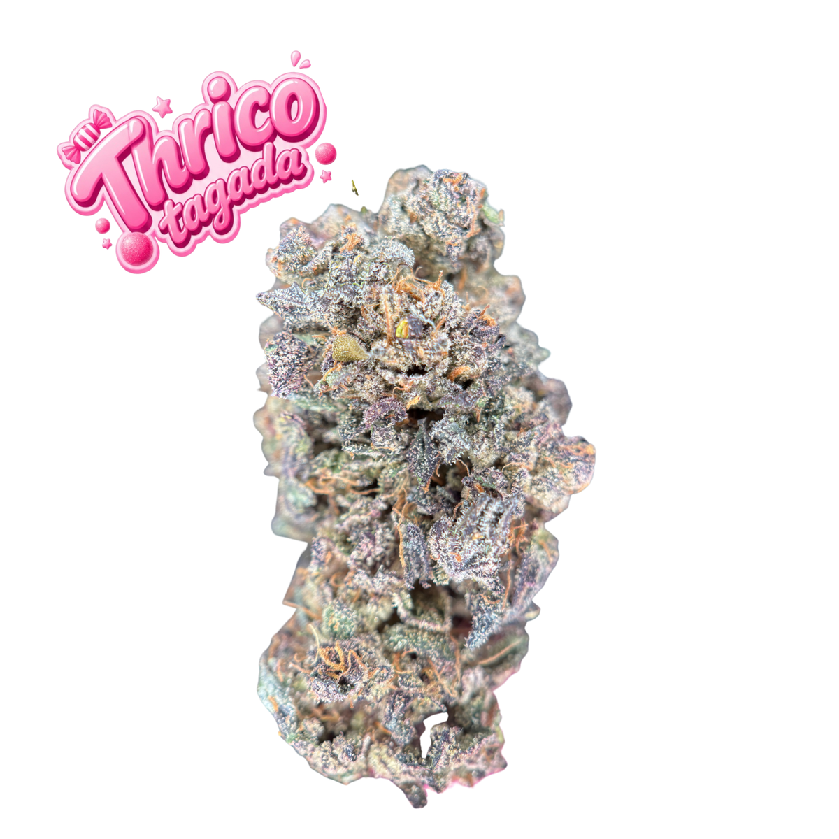 THRICO TAGADA