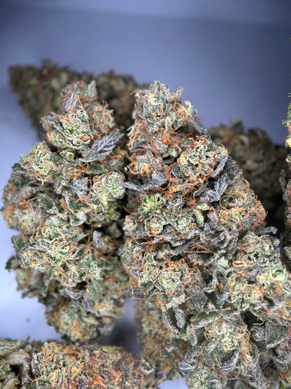 Banano compoot INDOOR organique Originale Growing 🇫🇷