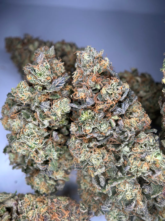 Banano compoot INDOOR organique Originale Growing 🇫🇷