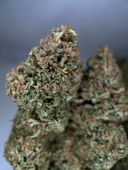 GOD FATHER OG OUTDOOR LIVING SOIL La tête à l’ouest 🇫🇷