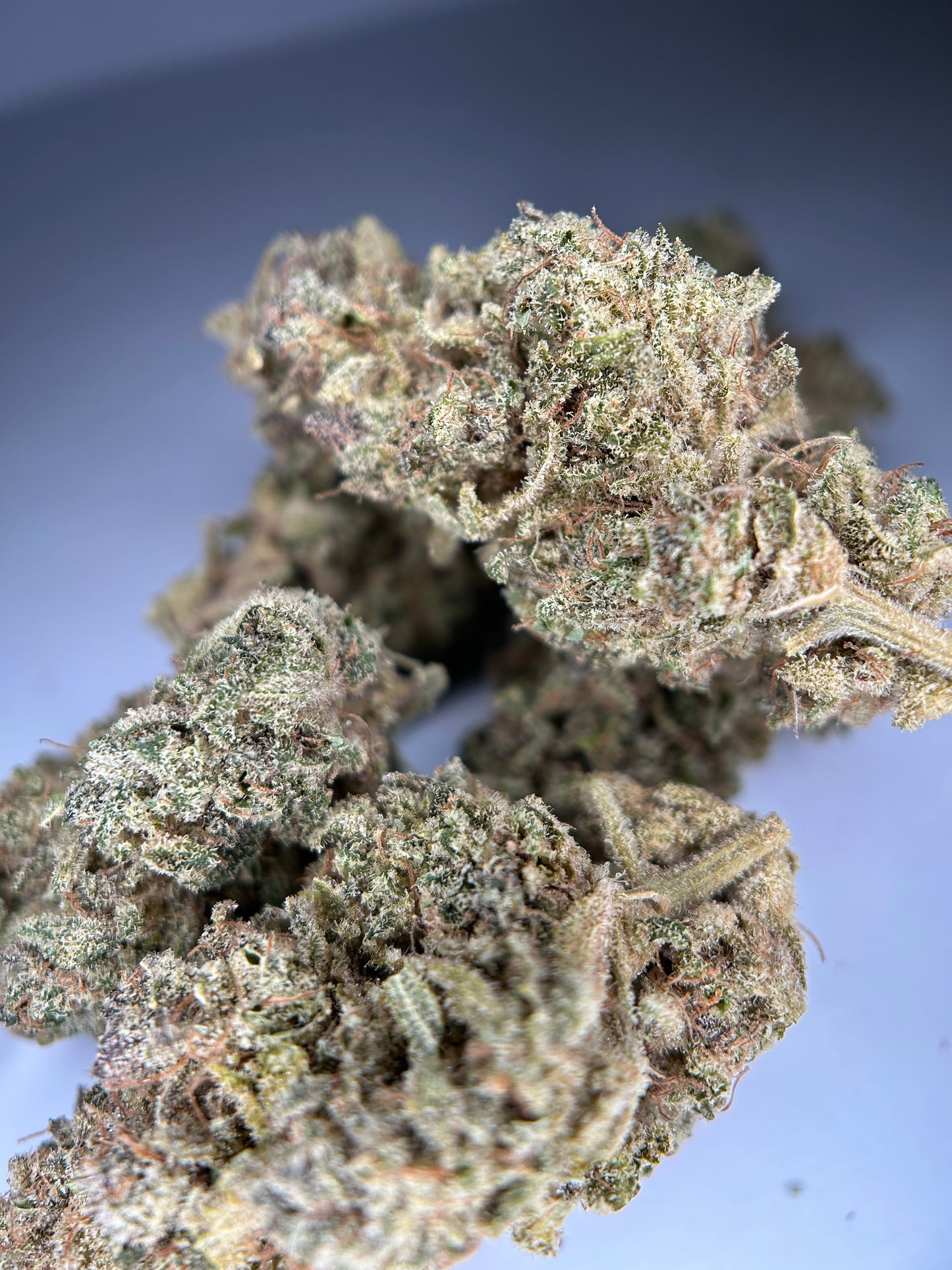 ZENYTHIS INDOOR Organique CBDank 🇫🇷