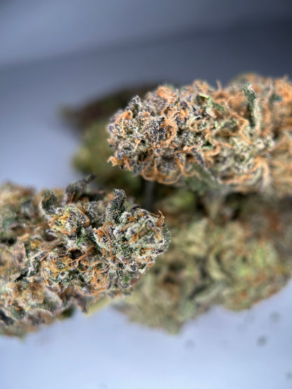 Relish pomme INDOOR organique originale Growing 🇫🇷