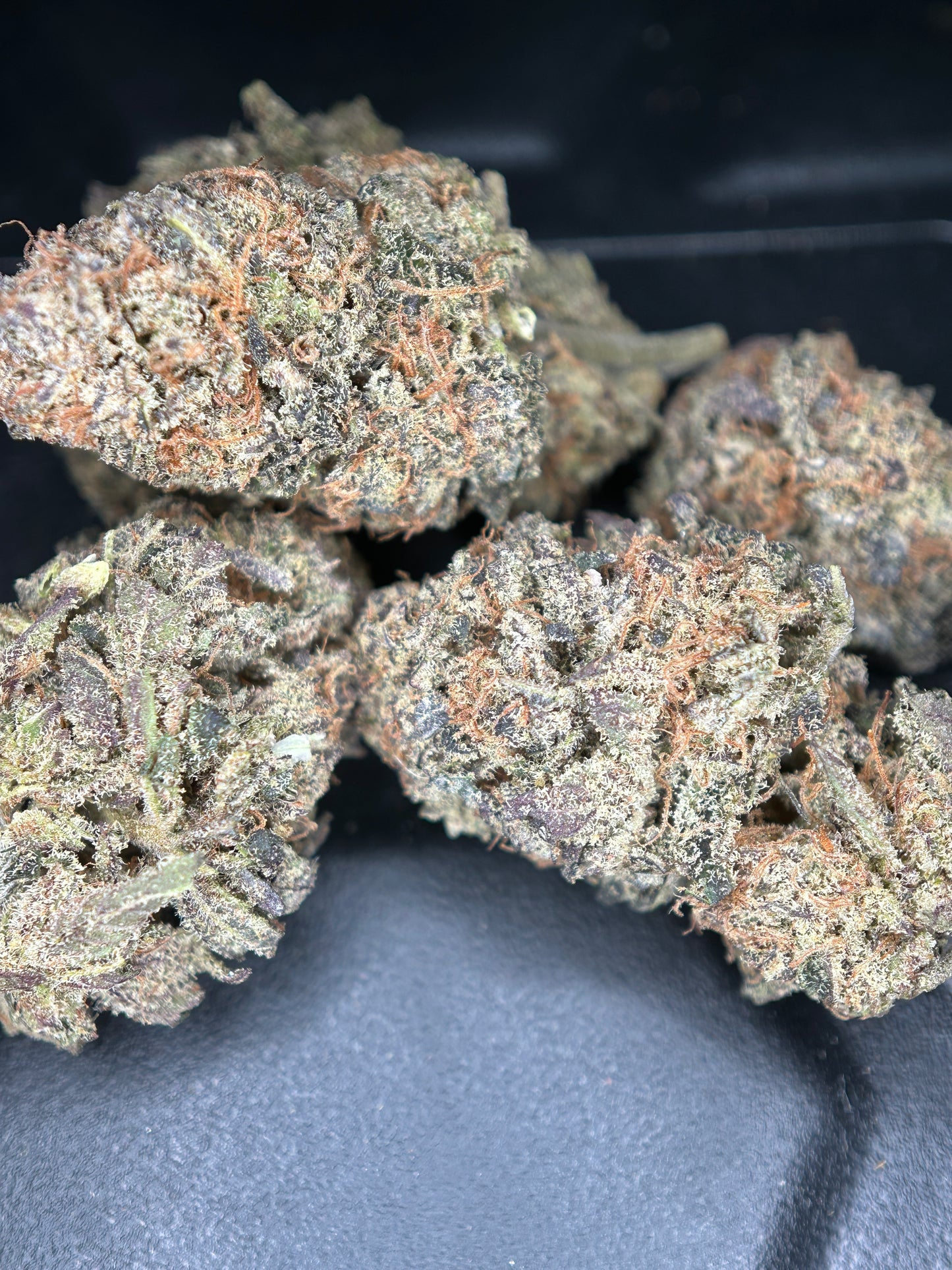 CALI DREAM INDOOR