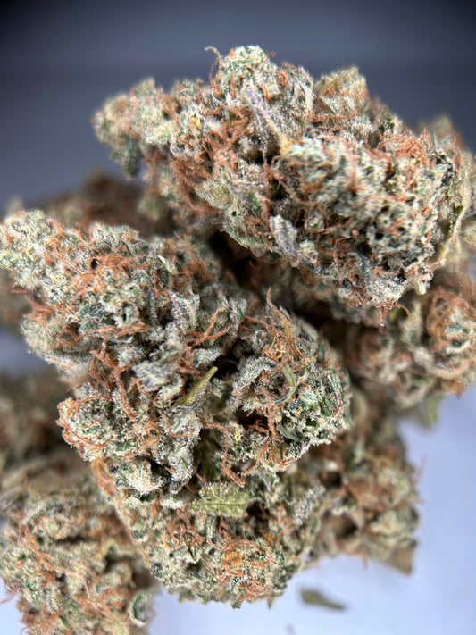 LEMON GRÂCE INDOOR ORGANIQUE Happy Pousse 🇫🇷