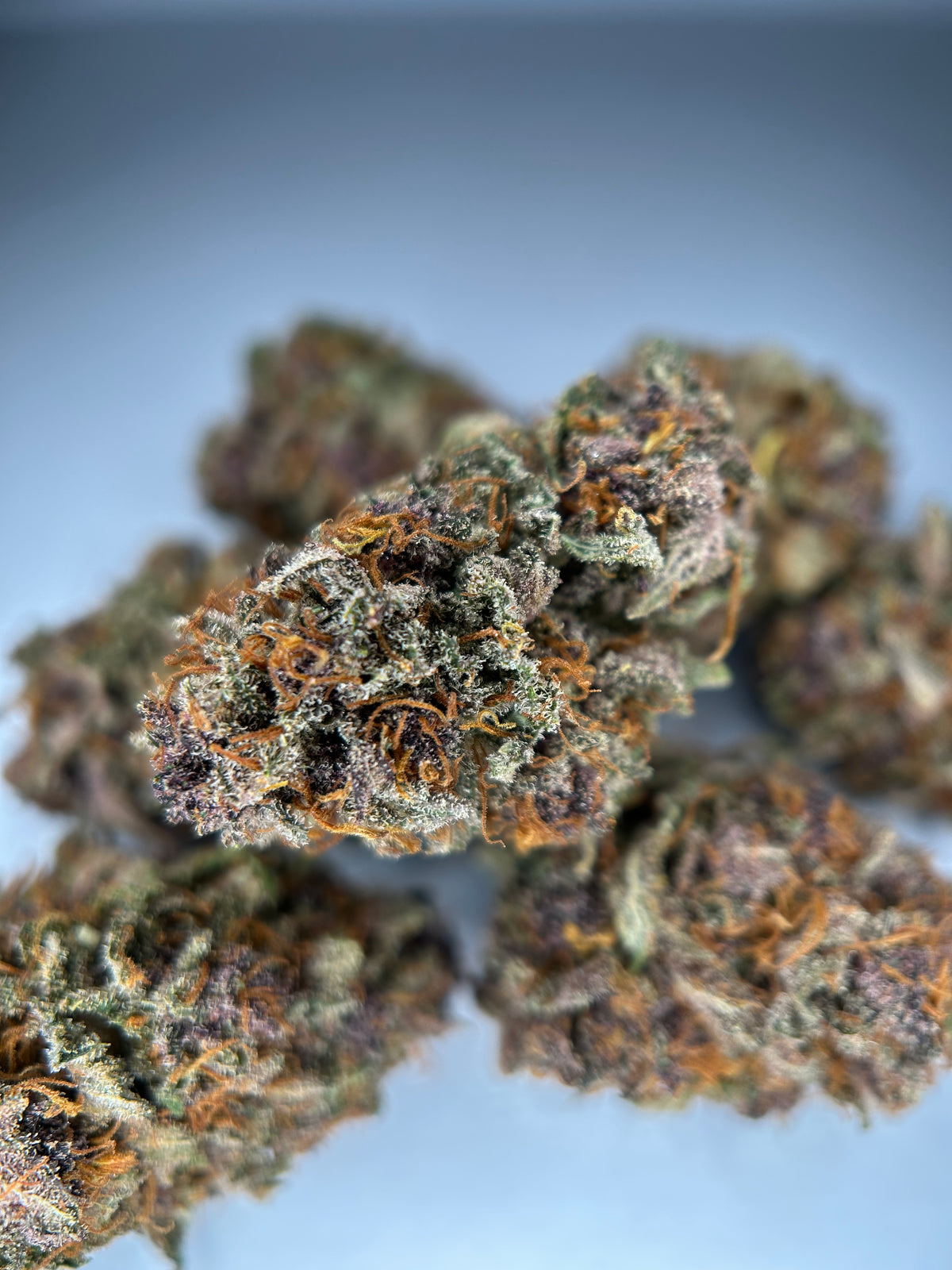 BLUEDORY