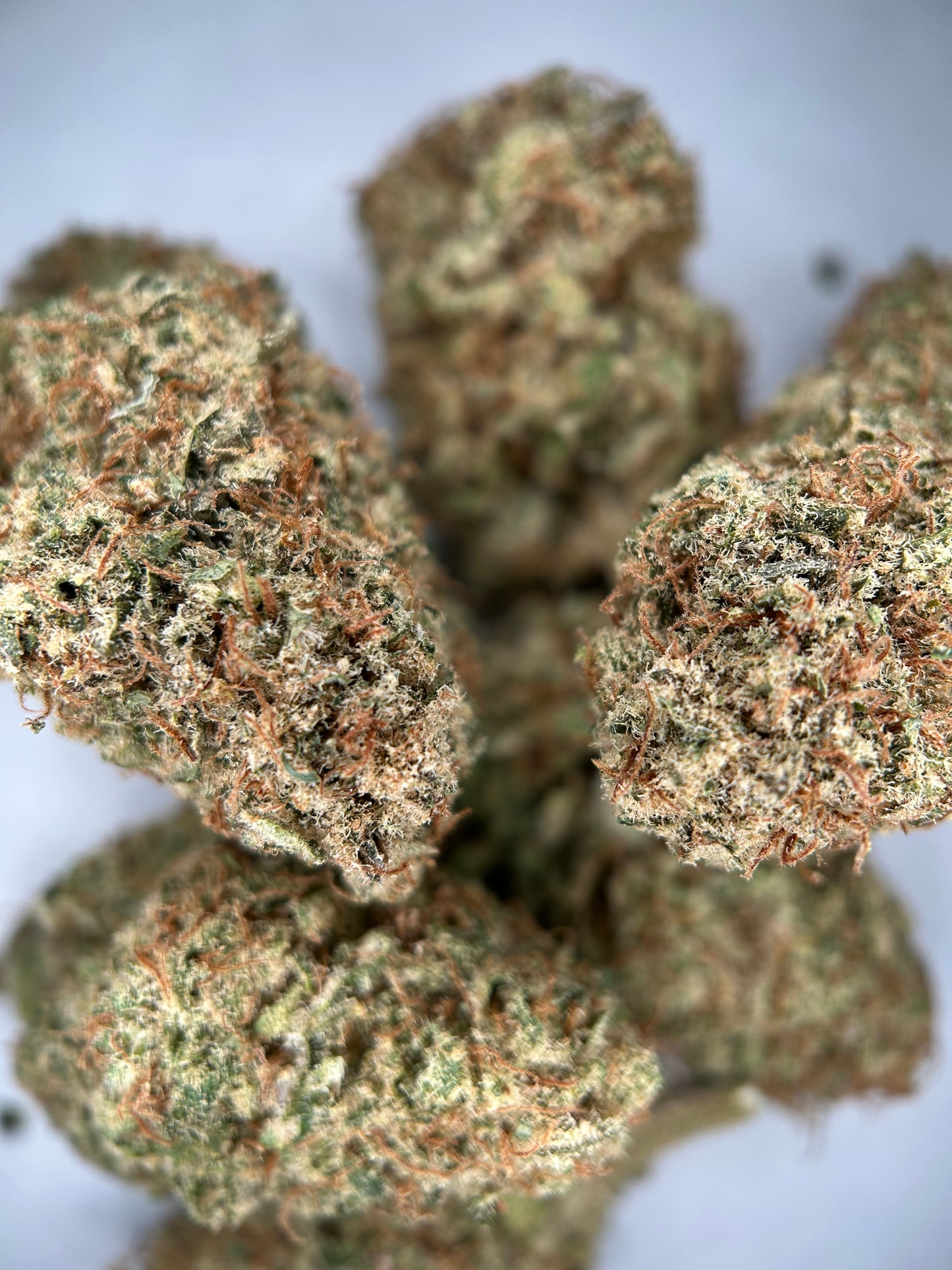 SWEET PARADIS INDOOR ORGANIQUE Happy Pousse 🇫🇷