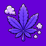 Jungle Hood CBD