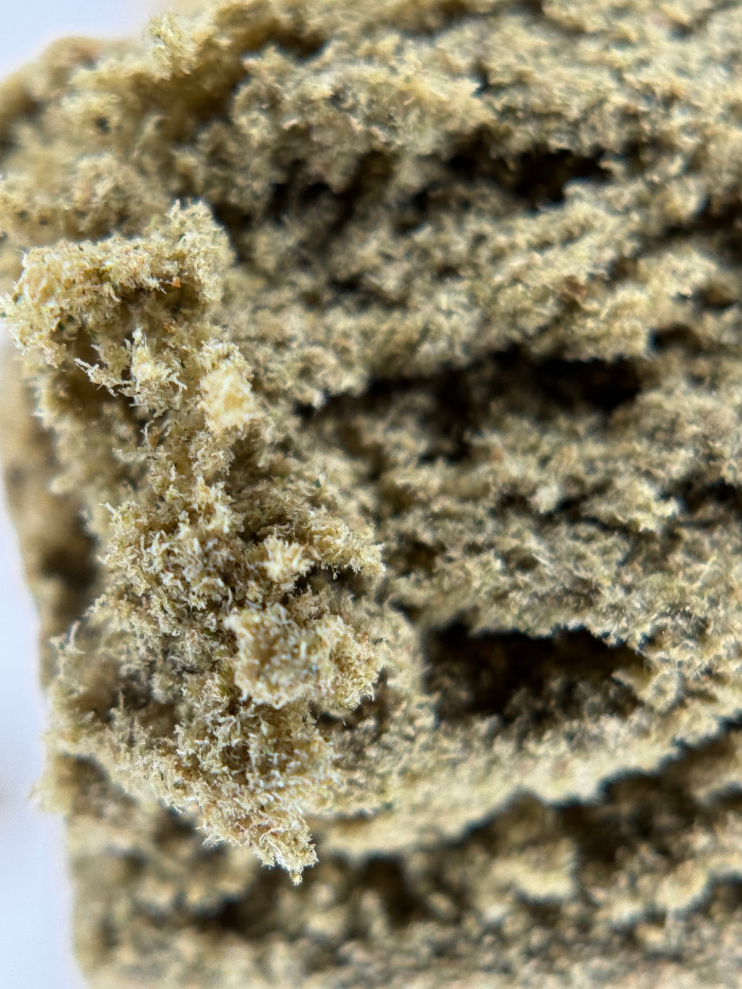 Oreoz Drysift 120µ importation de Californie USA 🇺🇸
