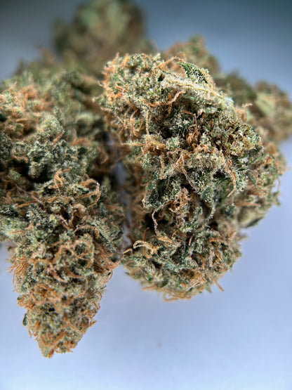 SOUR BAIE INDOOR Happy Pousse 🇫🇷