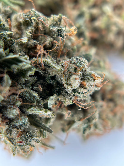 PINEAPPLE HAZE INDOOR Happy Pousse 🇫🇷