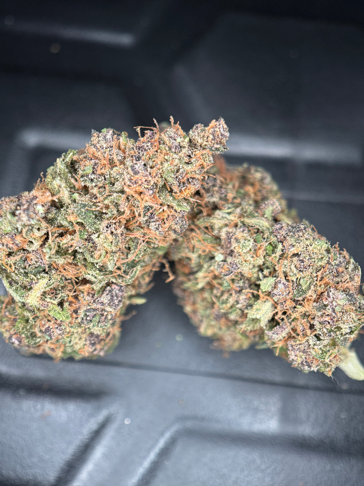Forbidden Fruit Indoor