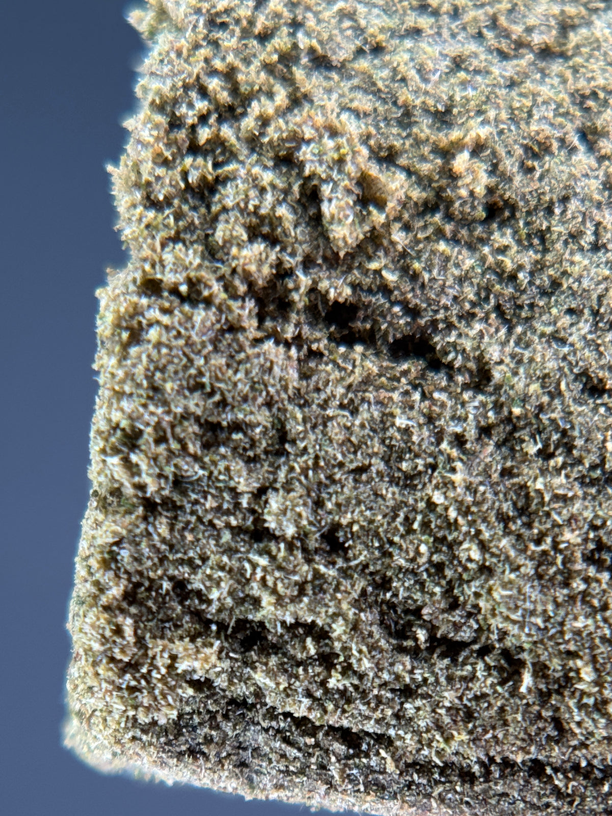 GOLDEN KUSH