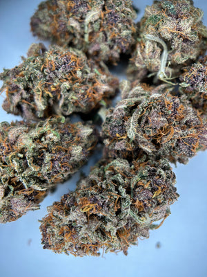BLUEDORY INDOOR