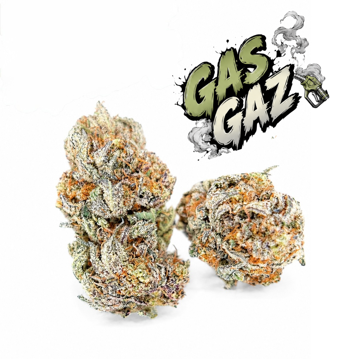 GAS GAZ