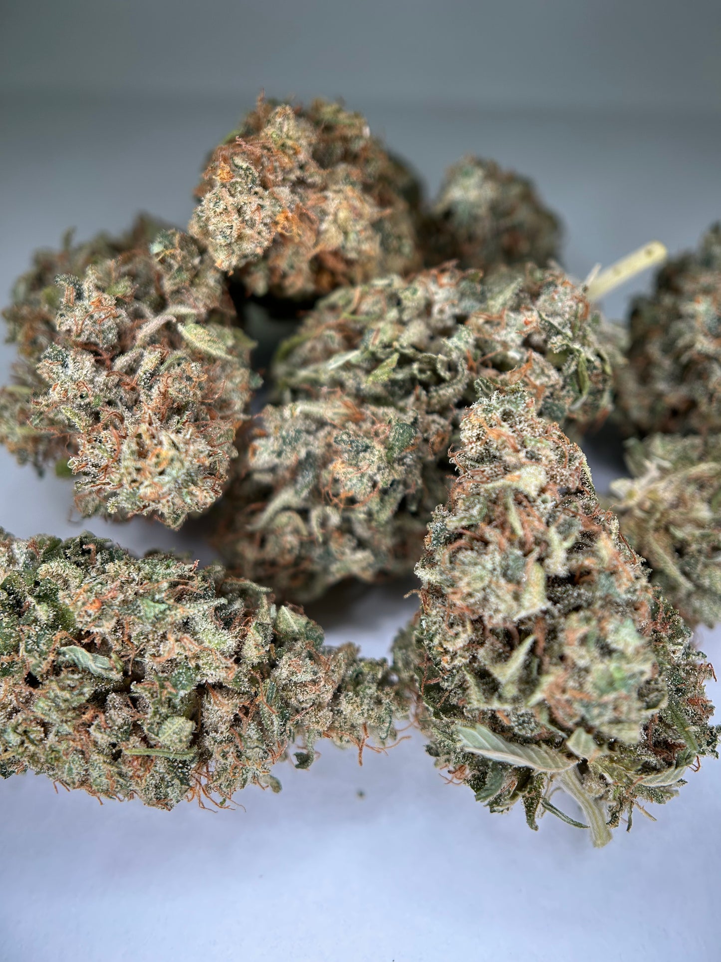 PINEAPPLE HAZE INDOOR Happy Pousse 🇫🇷